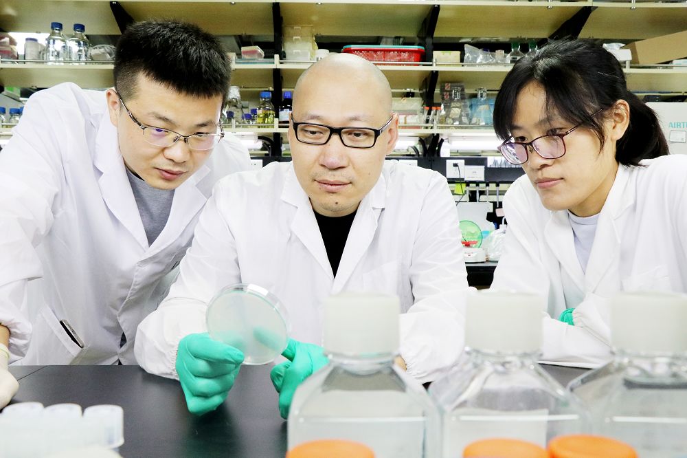 世间生物规律_世间生物规律_世间生物规律