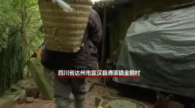 吉林一村庄扶贫危房外糊一层砖,屋里土墙一直裂到屋顶-中国传真