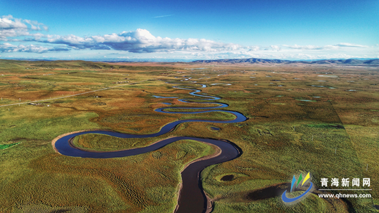 弯弯曲曲的意思 web.shobserver.com