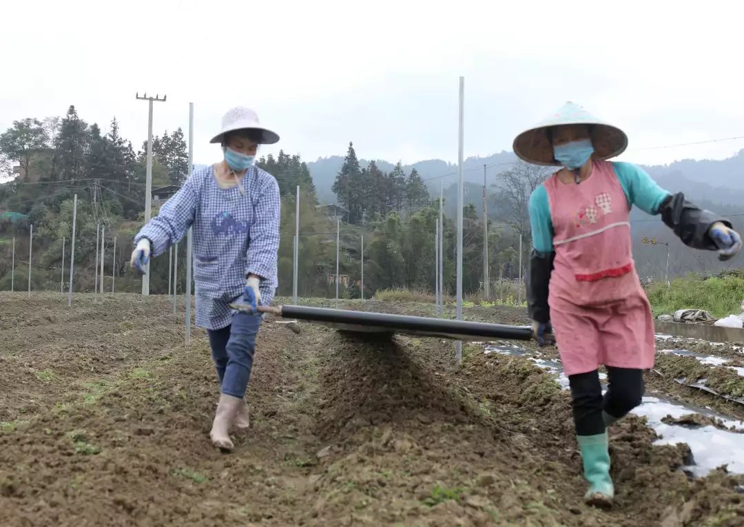 来看!好一幅南方"智绘"春耕图