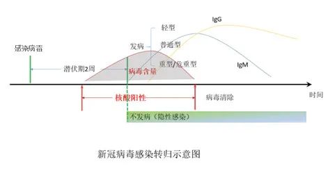 八问权威专家：“无症状感染者”难题怎么解?