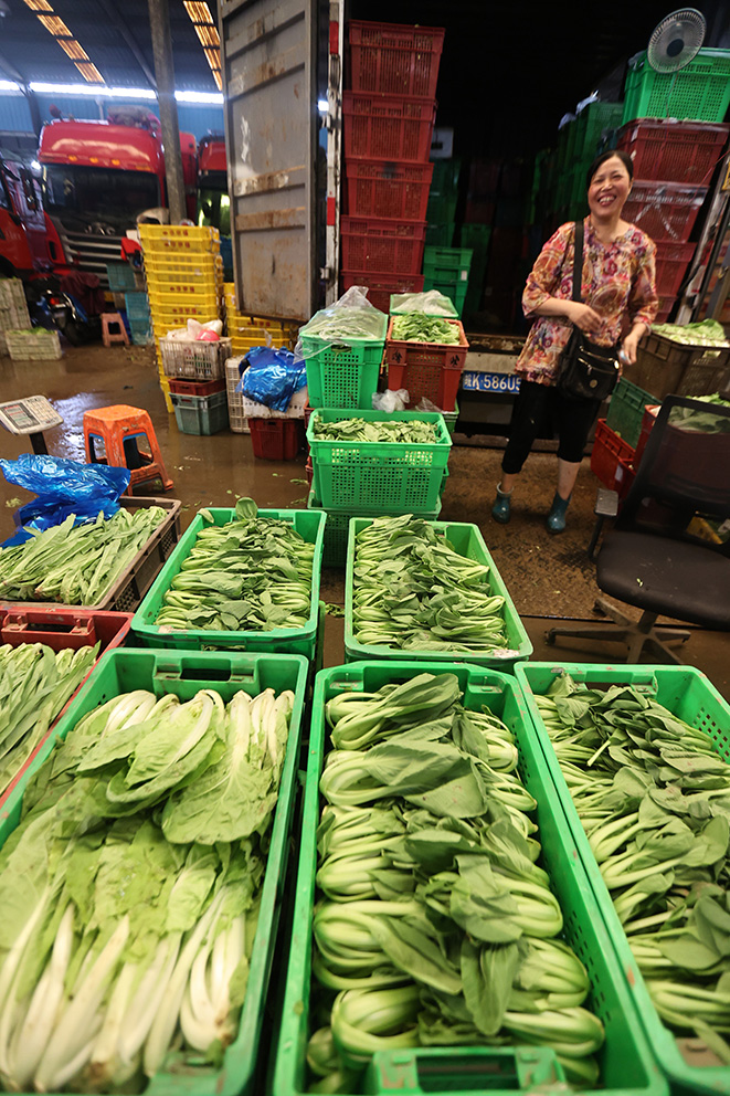 台风前后锁定高原夏菜主产区,上海江桥批发市场蔬菜品种多,价格稳