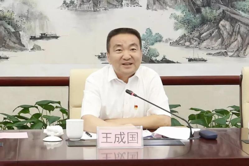 王成国简历