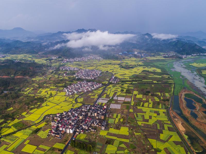 空中俯瞰浙江省杭州市淳安县千岛湖汾口镇. 新华社记者 徐昱 摄