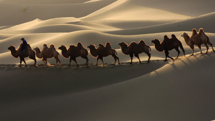 g20占全球gdp总量_杭州g20峰会图片(3)