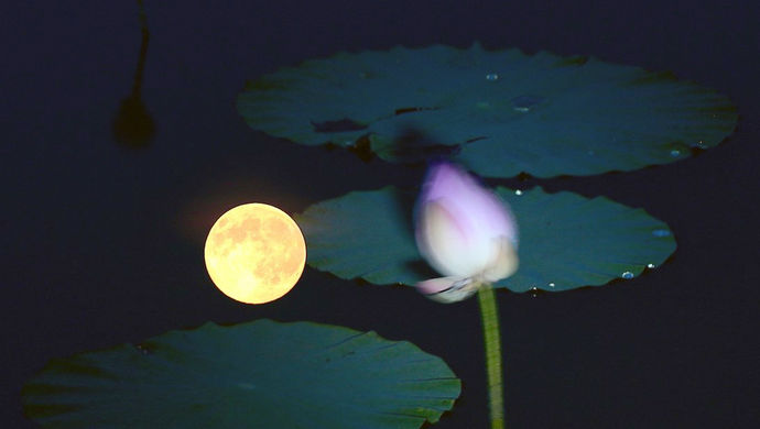 蔡英文在外媒上称让台湾2017年重回亚洲四小