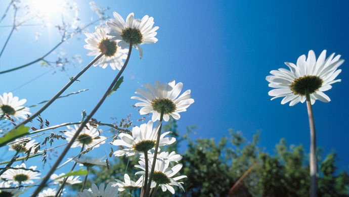  两城2.5天休假 _2.5天休假_2.5天休假模式