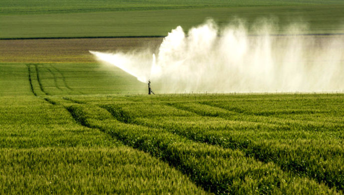 农业上市公司品牌哪家强?上海社科院发布指数