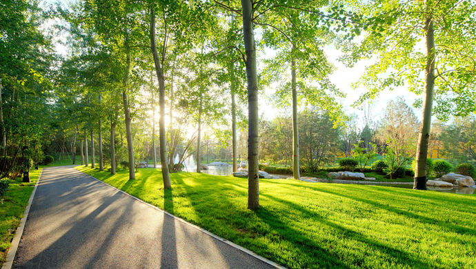 低碳社区、共享单车…这些创新模式在2010年