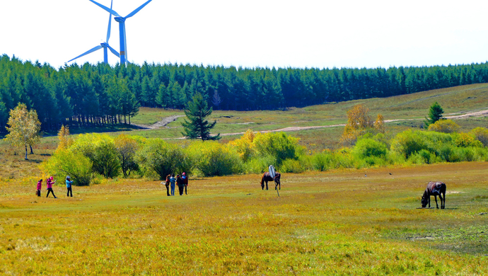 两分钟让你明白塞罕坝林场为什么获奖--上观