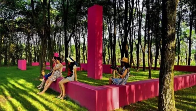 闵行 |每天1.5万人次游郊野公园,哪里最好玩、