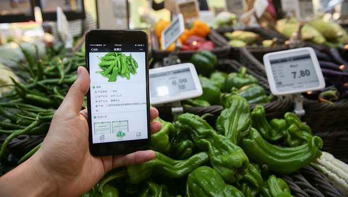 【治国理政新实践上海篇】市府实事示范性标准