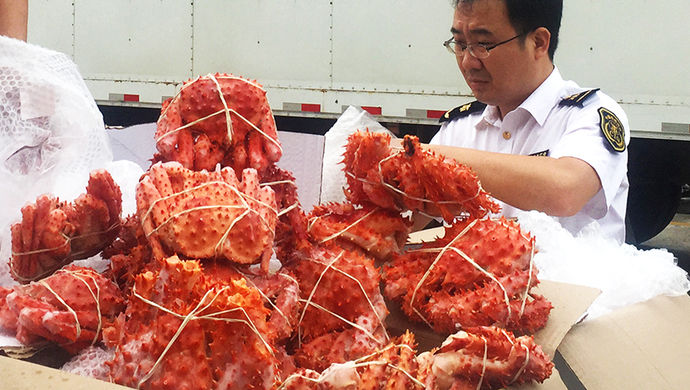 帝王蟹、美国坚果、维密内衣…上海集中销毁大