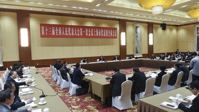 上海代表团审议国务院机构改革方案