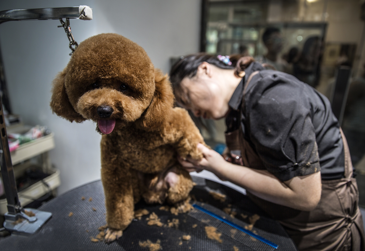 【眼界】北漂的日本美容师--上观