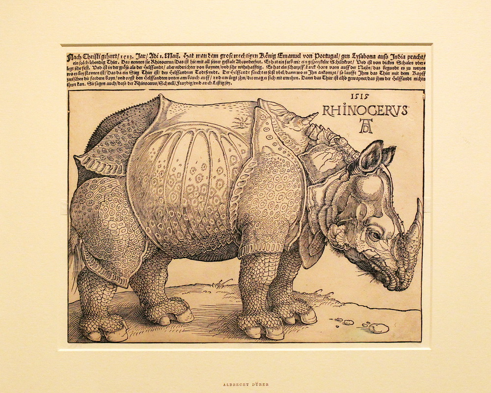 公元1515年木版画,丢勒《犀牛》.