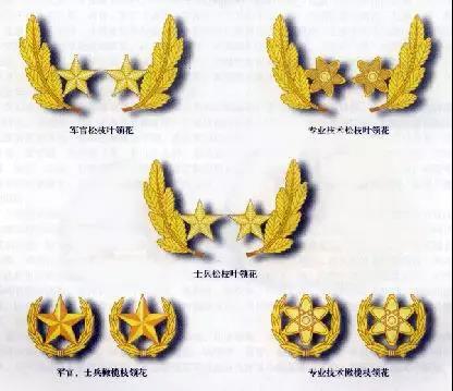 07空军领花(全军通用)07式领章用于作训服.