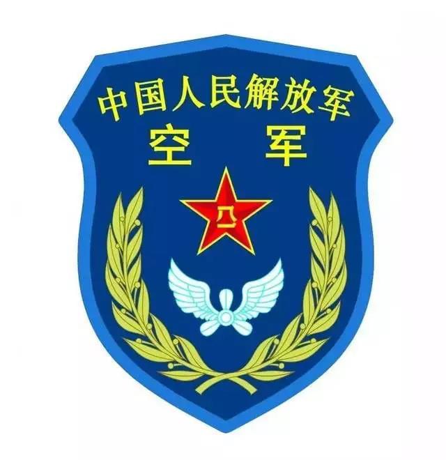 图案为乐器里拉和橄榄枝;军乐团空军臂章,图案为"八一"军徽和两把交叉