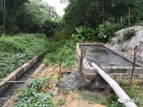 广西玉林:南流江污水直排入江 河长公示牌旁垃圾成堆
