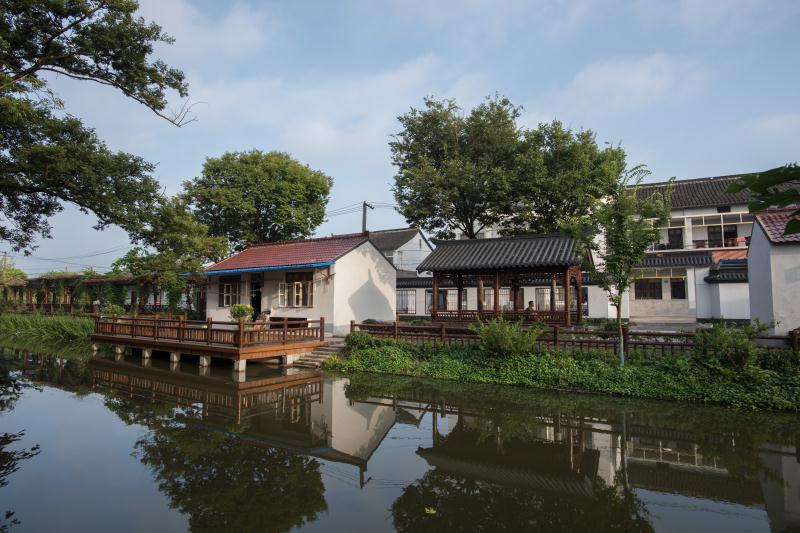上海乡村风景美了,年轻人来了,但房子回归粉墙黛瓦还差这些