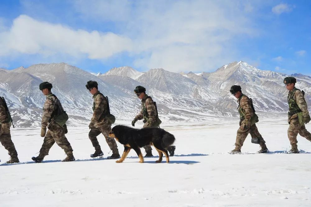 昆木加哨所官兵踏雪巡逻在边防线上.罗凯摄