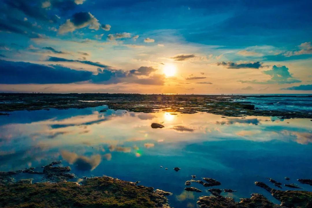 "大智若愚"