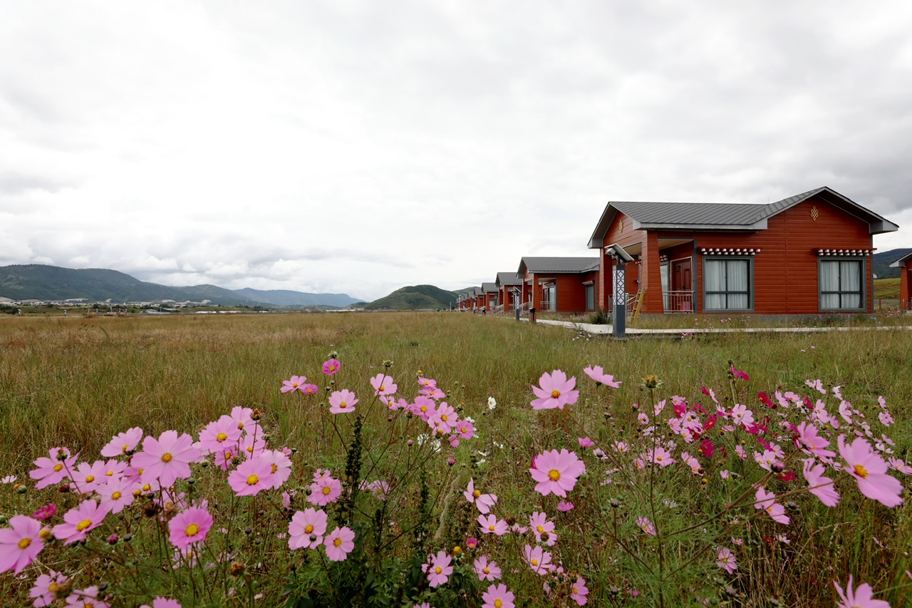 小中甸镇:在"岩石之下"打造乡村文旅新标杆_上观新闻