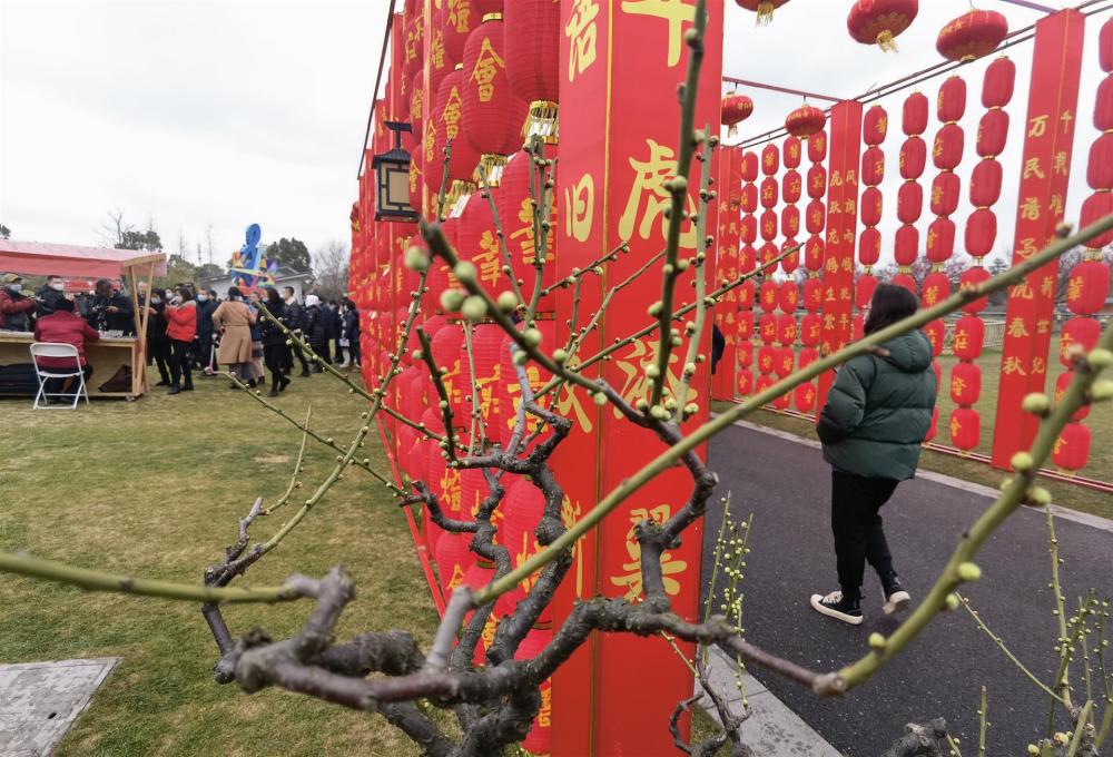 首届莘庄梅花节开幕1000余株梅花40进入盛花期