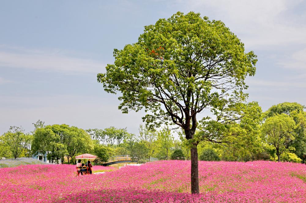 滿足家庭