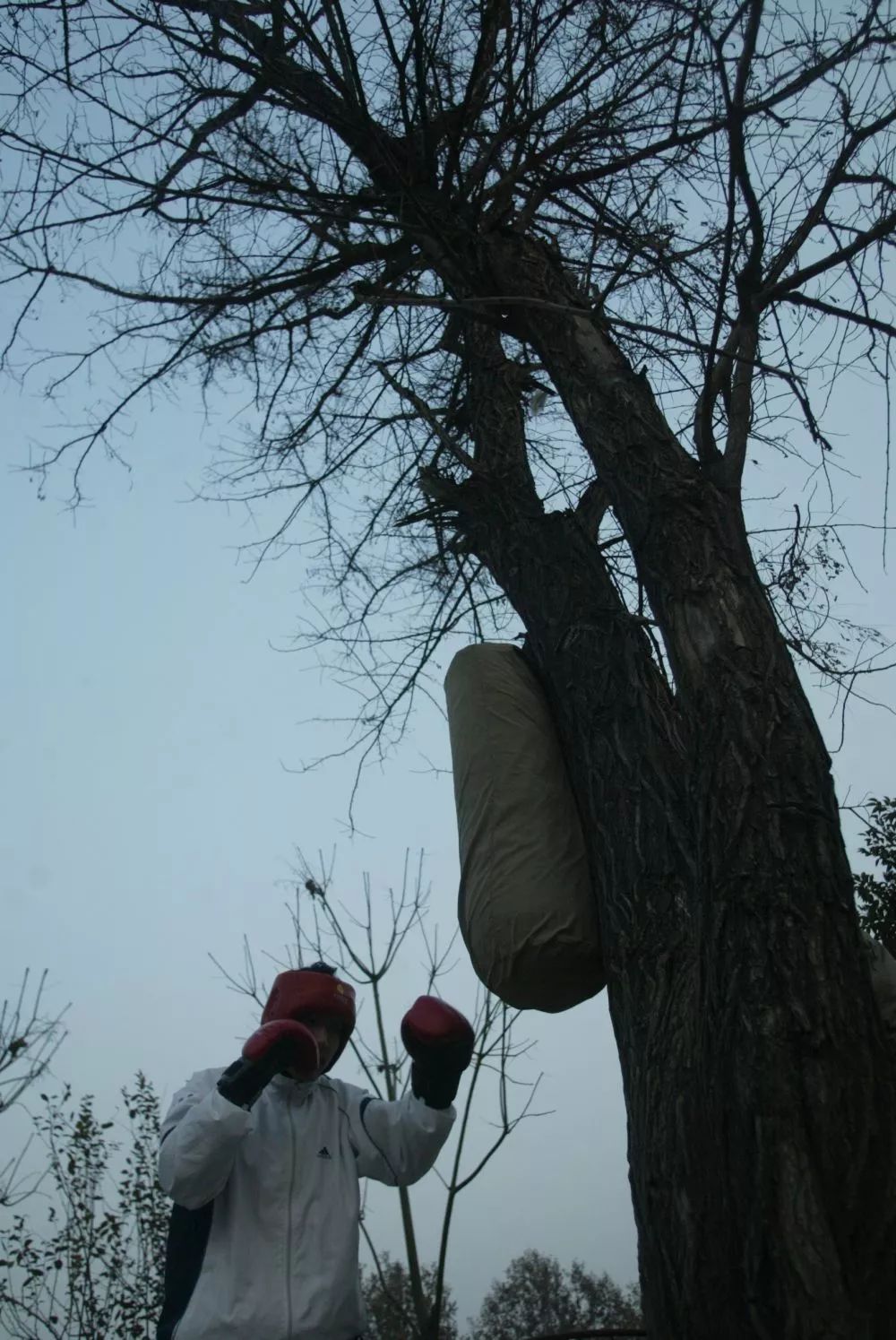 我命由我不由天！