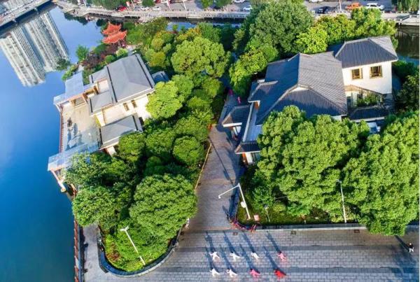 到十字街走一圈，何以竟像与灵魂深处的基因约会