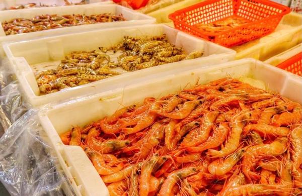 到十字街走一圈，何以竟像与灵魂深处的基因约会