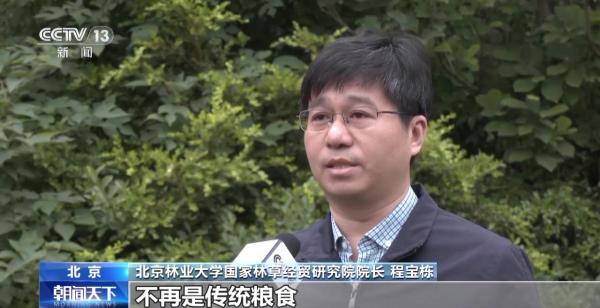 图片[1]-践行大食物观 森林“粮库”让中国饭碗更“丰盛”-上淘有品虚拟资源下载