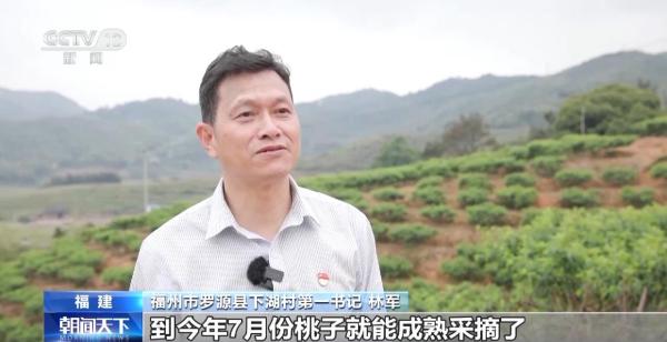 图片[3]-践行大食物观 森林“粮库”让中国饭碗更“丰盛”-上淘有品虚拟资源下载