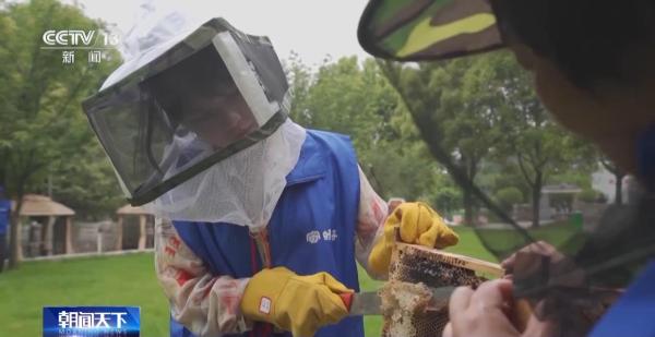 图片[5]-践行大食物观 森林“粮库”让中国饭碗更“丰盛”-上淘有品虚拟资源下载