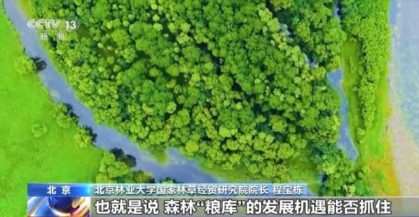 图片[6]-践行大食物观 森林“粮库”让中国饭碗更“丰盛”-上淘有品虚拟资源下载