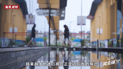 十分上海·买全球 ①|进博展品天天见！来虹桥品汇的第一天：市民笑了，代购哭了……
