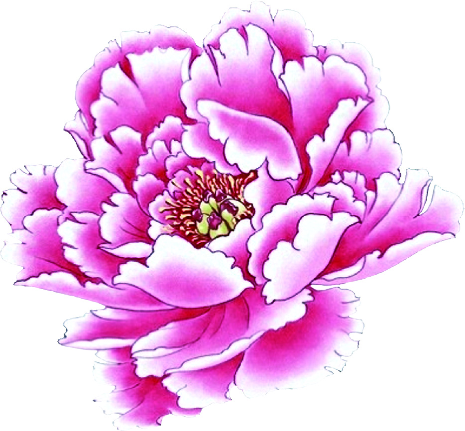 第十届中国花博会的会花 会歌和会徽发布了