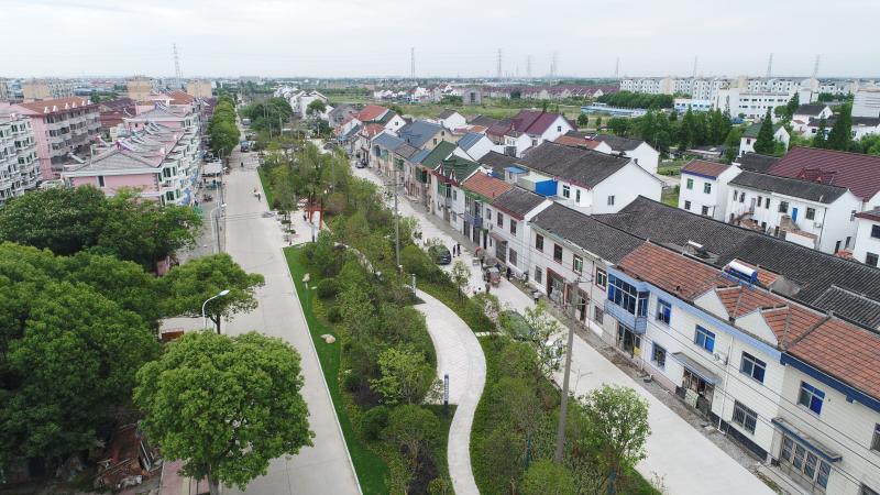 11位企业家担任名誉村主任上海金山朱泾镇全面推进村企共建助力乡村