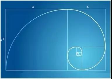 再連接所有曲線,最後形成的螺旋線就是如下圖所示的 還有人把黃金分割