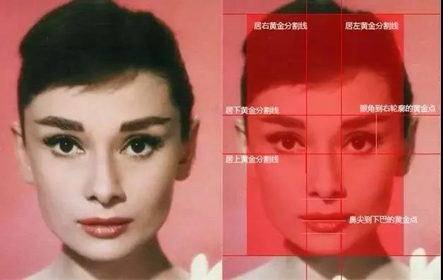 黄金分割甚至还被用来解释赫本的脸.