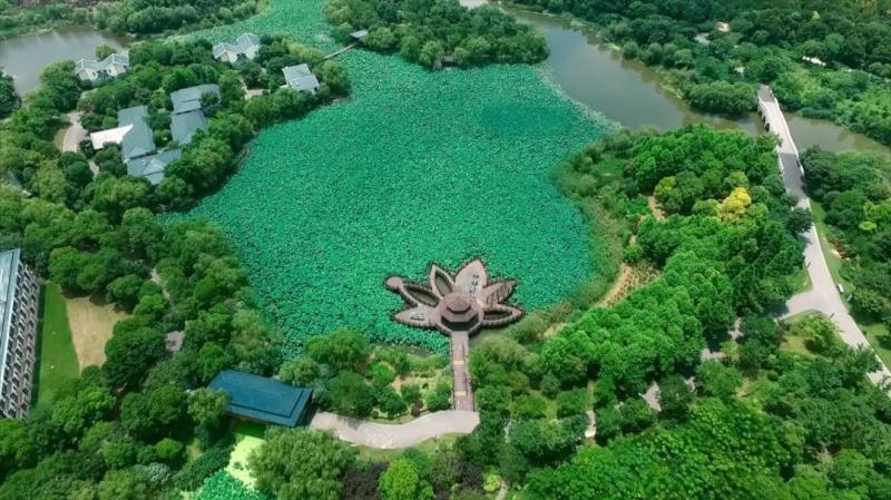 顾村公园位于宝山区顾村镇,规划总用地面积约430公顷,是本市最大的