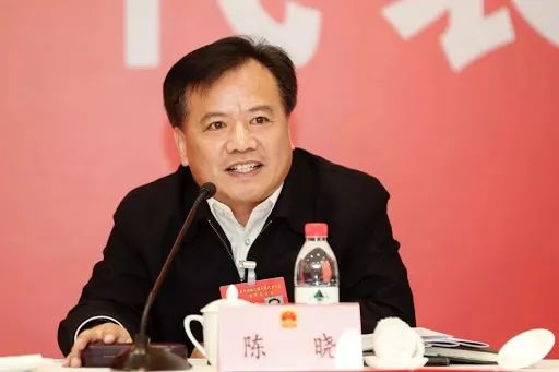 金华市人民政府办公室二级巡视员陈晓涉嫌严重违纪违法,主动投案,近日