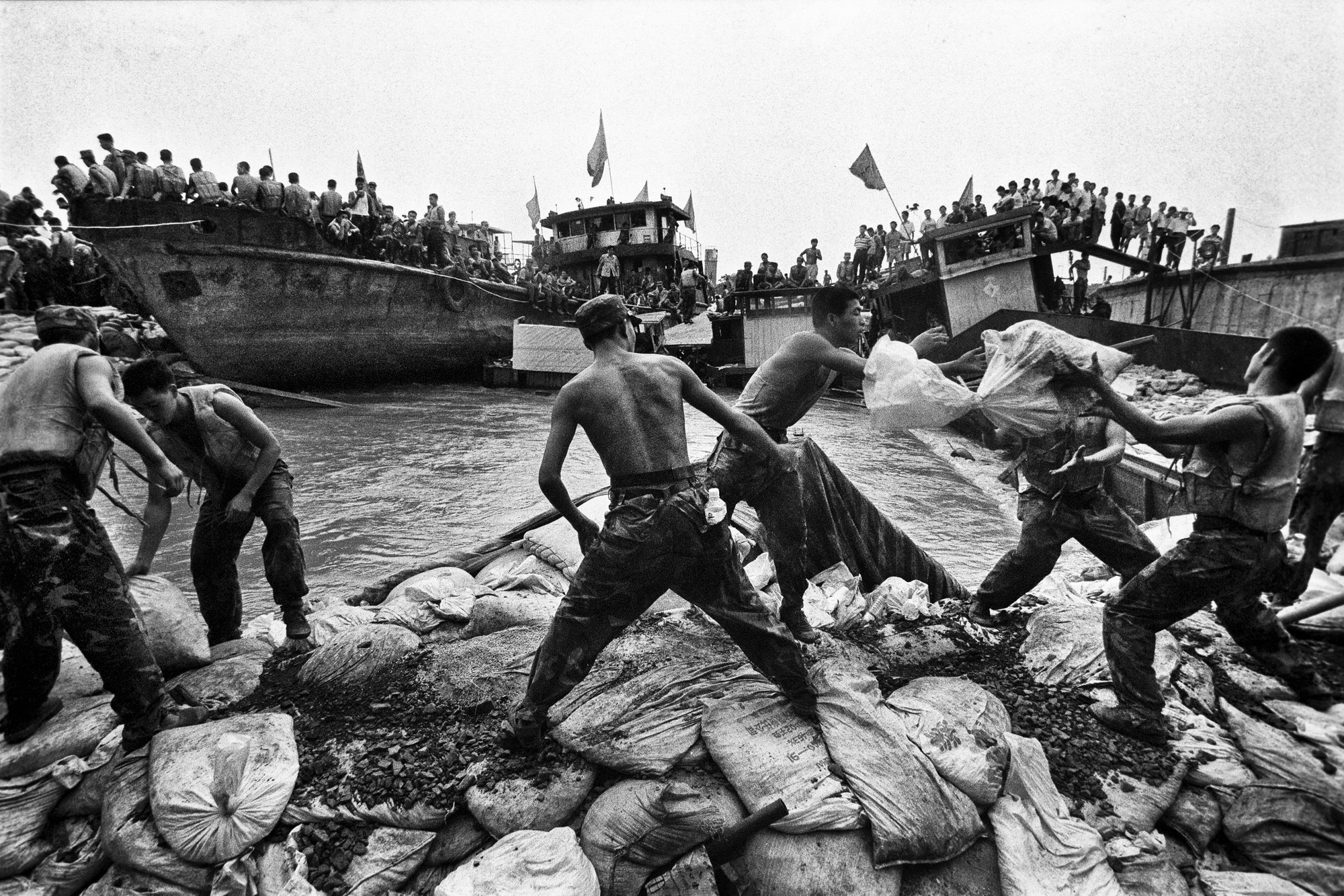 1954年长江特大洪水图片