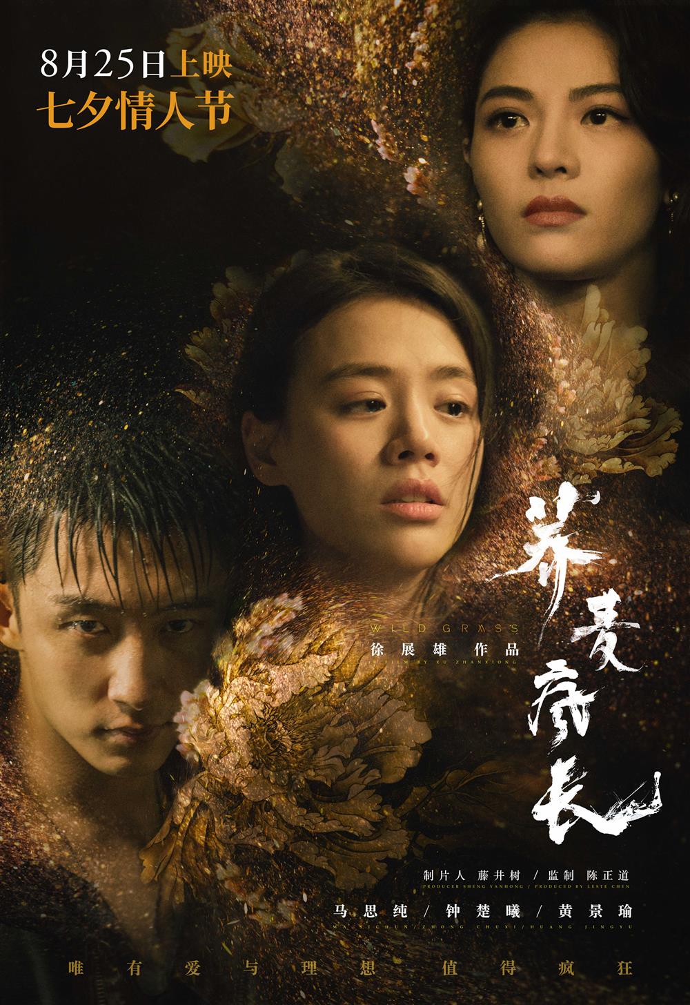 馬思純鍾楚曦黃景瑜主演,上海出品《蕎麥瘋長》定檔8月25日