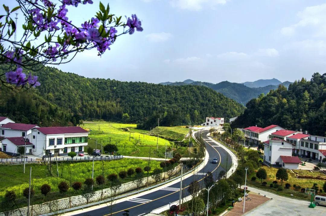 6万个村通上公路富了百姓_上观新闻