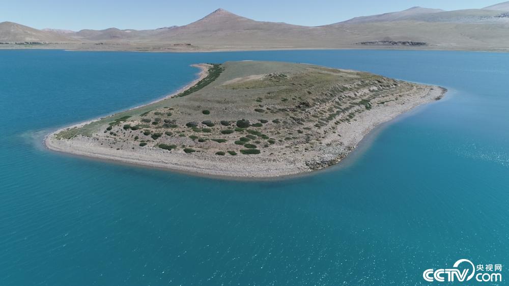 拿|【幸福花开新边疆】拿日雍错——遗落在雪域高原的蓝宝石