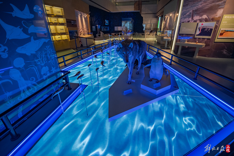 中国航海博物馆海洋展区新装起航世界航海五百年特展开幕