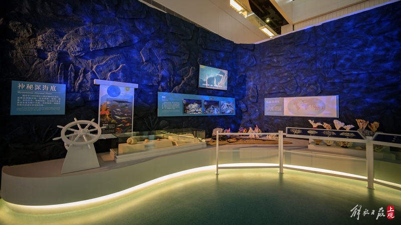 中国航海博物馆海洋展区新装起航世界航海五百年特展开幕