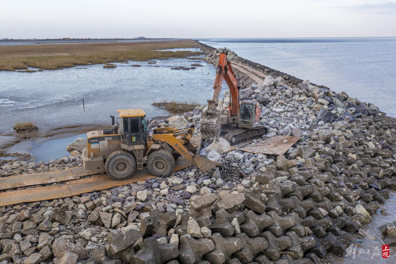 大堤段施工现场,施工人员正在清运翼型块旁的碎石,进行抛石加固工作
